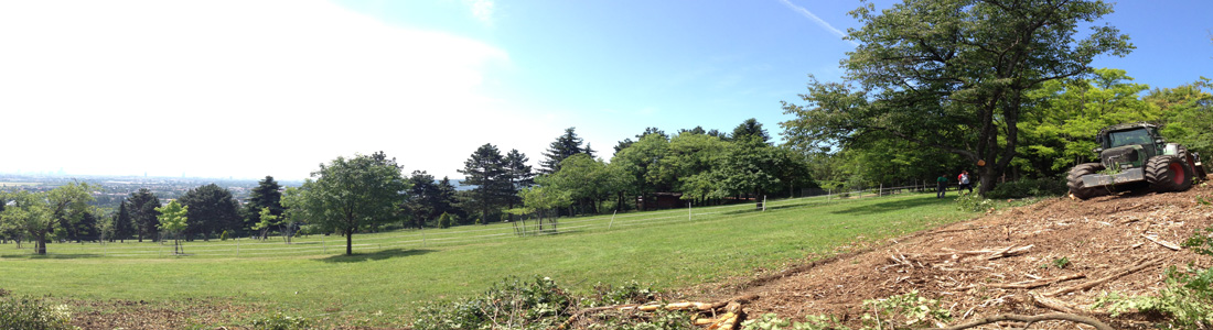panorama
